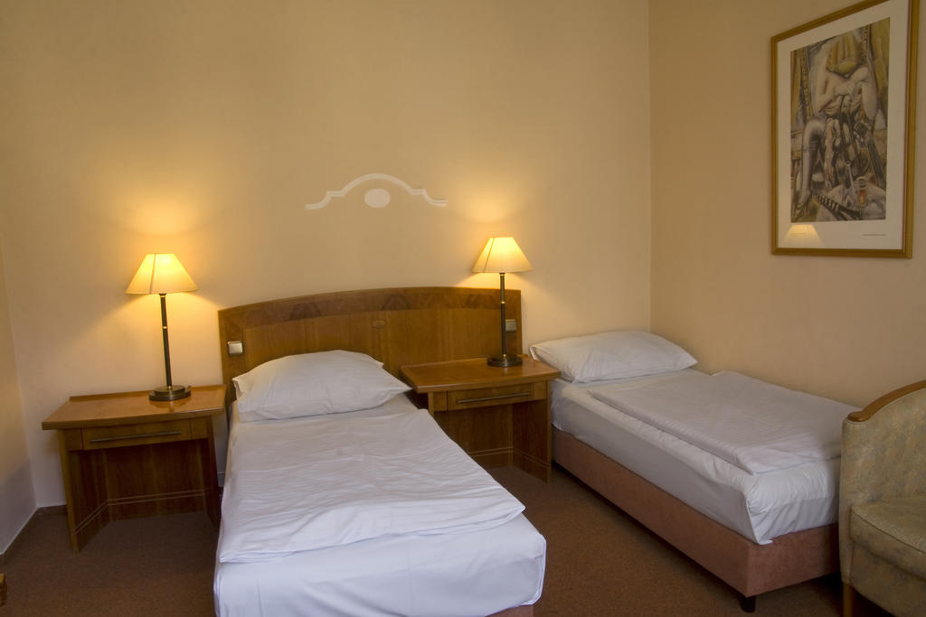 Dr. Adler Spa & Kurhotel Františkovy Lázně 객실 사진