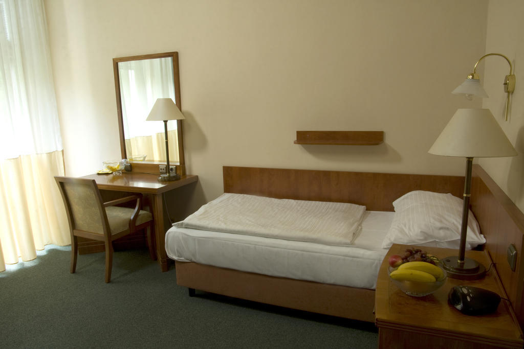 Dr. Adler Spa & Kurhotel Františkovy Lázně 객실 사진