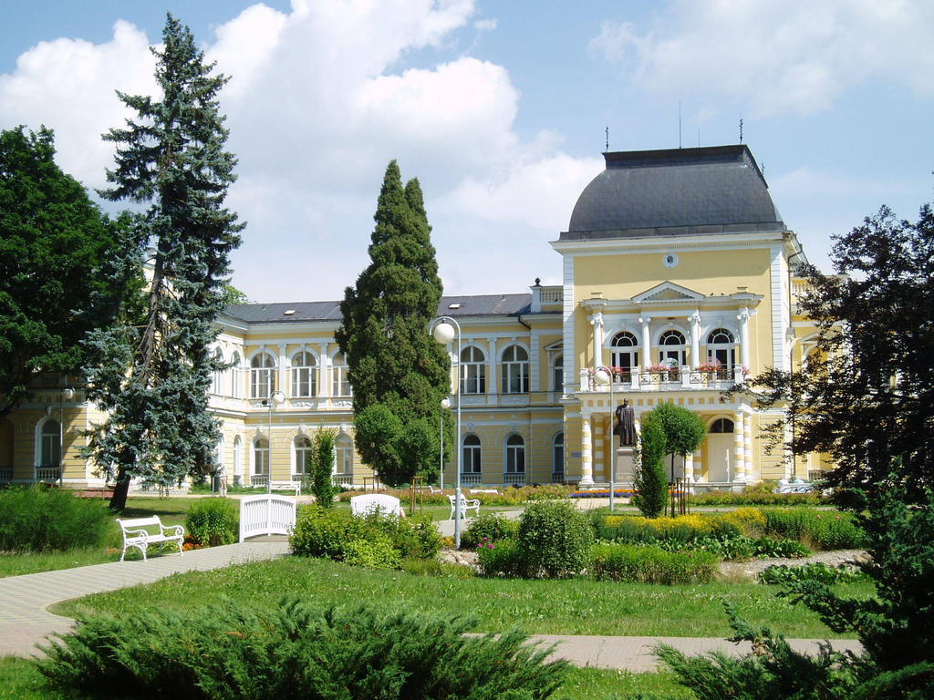 Dr. Adler Spa & Kurhotel Františkovy Lázně 외부 사진